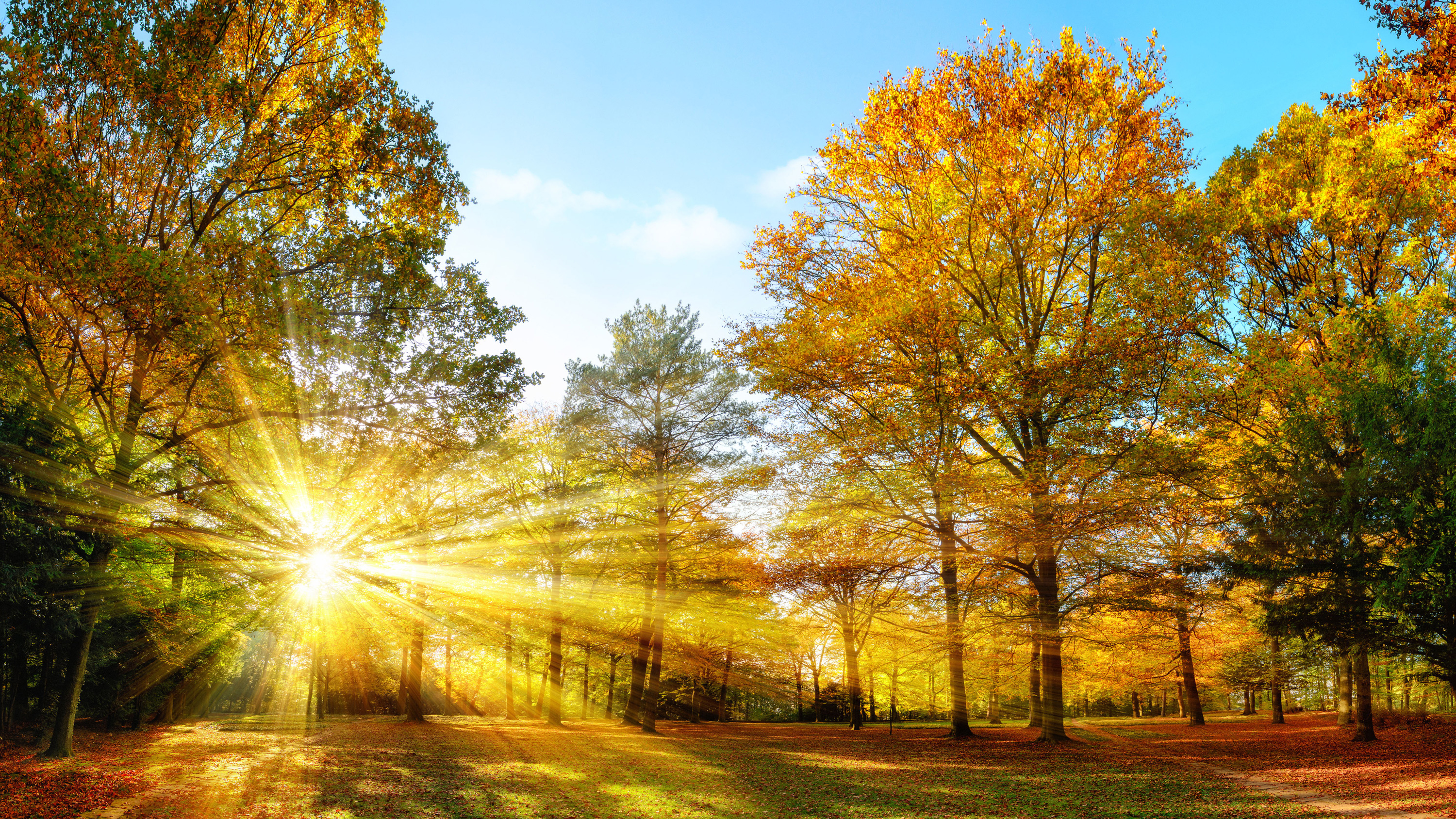 herbstimpression-3000px40630959-11DB-FA0F-94C0-50719E1EC556.jpg